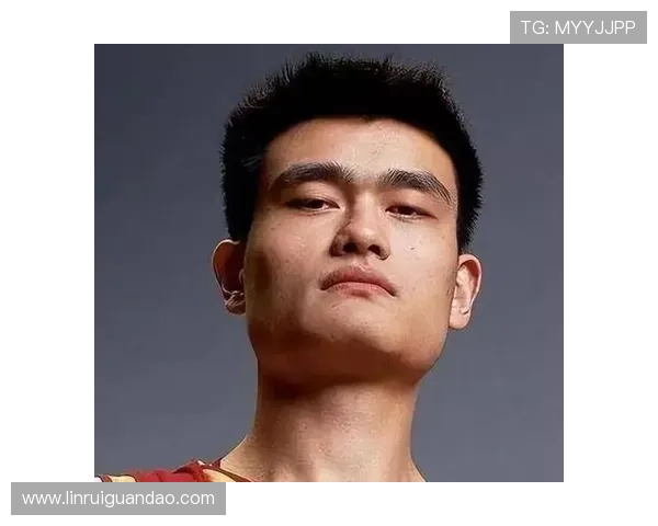 湘北篮球传奇对决姚明巨星风范的巅峰之战