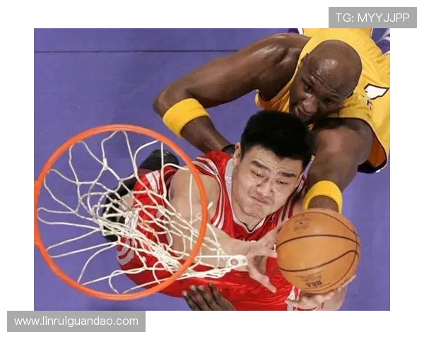 姚明223净高的传奇身高背后隐藏的篮球故事与人生启示